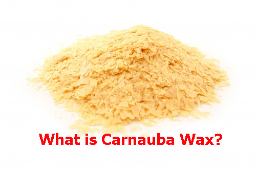 Carnauba Wax - Tinh hoa wax bóng và bảo vệ bề mặt của nhân loại