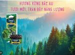 SÁP THƠM XE Ô TÔ AREON HƯƠNG NORDIC FOREST (CÂY LÁ KIM RỪNG BẮC ÂU) AKB19 35G