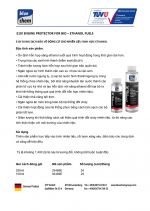 Phụ gia bảo vệ động cơ nhiên liệu sinh học ethanol Bluechem E10 Engine Protector 100ml
