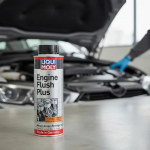 Súc rửa động cơ Liqui Moly Engine Flush 8374 300ml